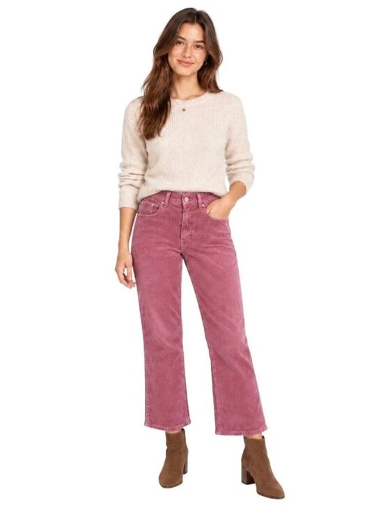 Pilcro Pants - Pilcro Anthropologie Dusty Rose Corduroy Pants Size 30